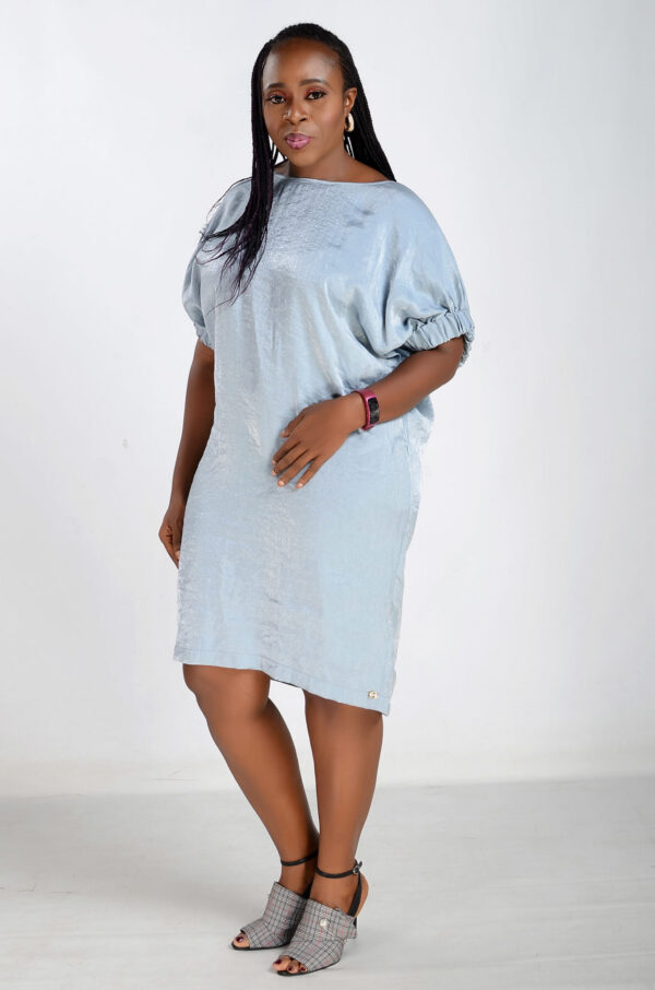 Shift Dress - Blue - Image 2