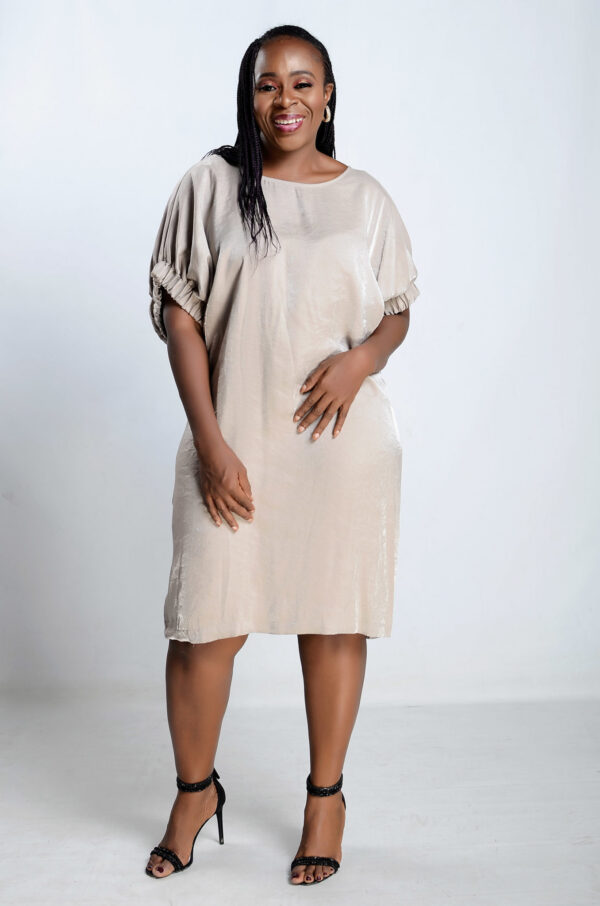 Shift Dress - Pewter - Image 2